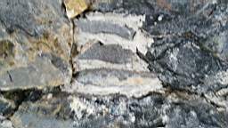 acastle
                          111605.jpg